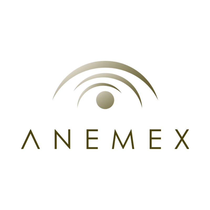 https://beta.isibai.com/dist/img/allies/payment-service/anemex.png